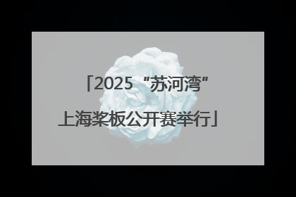 2025“苏河湾”上海桨板公开赛举行